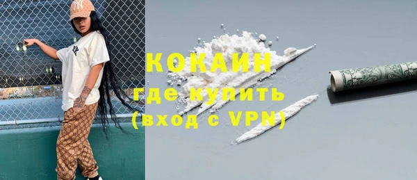 сатива Богданович