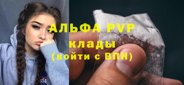 сатива Богданович