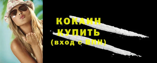 сатива Богданович