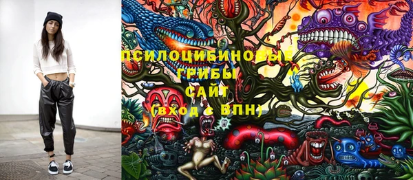 твердый Богородицк