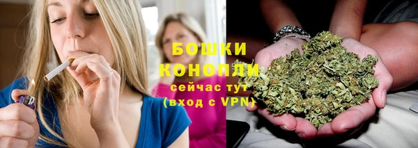 твердый Богородицк